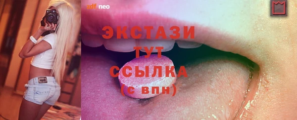 амф Ельня