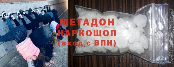 амф Ельня