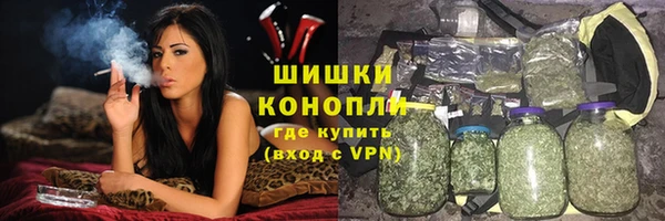 амф Ельня