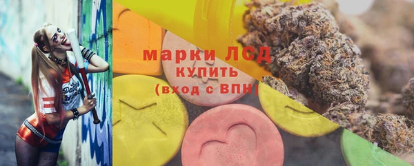 амф Ельня