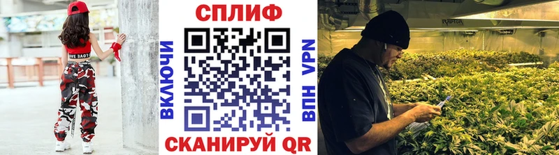 Купить закладки  Устюжна  Канабис марихуана 